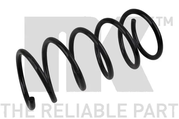 Suspension Spring (533947)