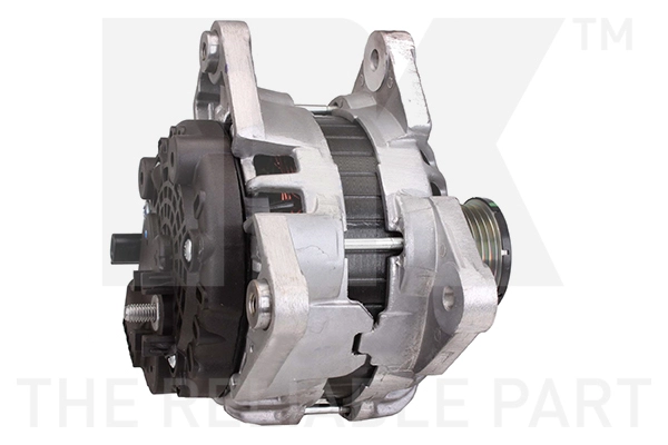Alternator (4839787)