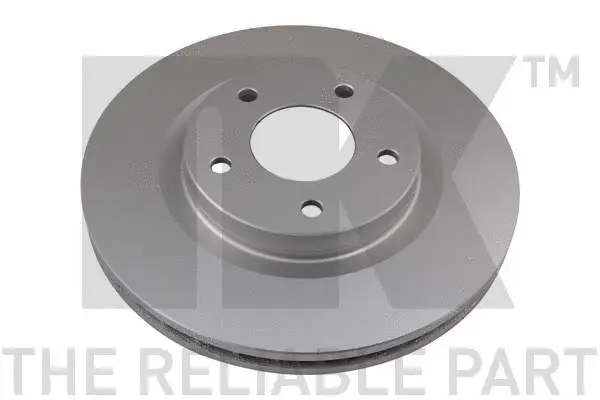 Brake Disc (319329)