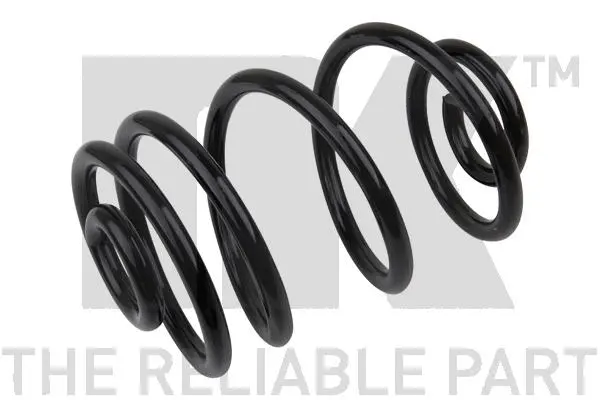 Suspension Spring (543628)