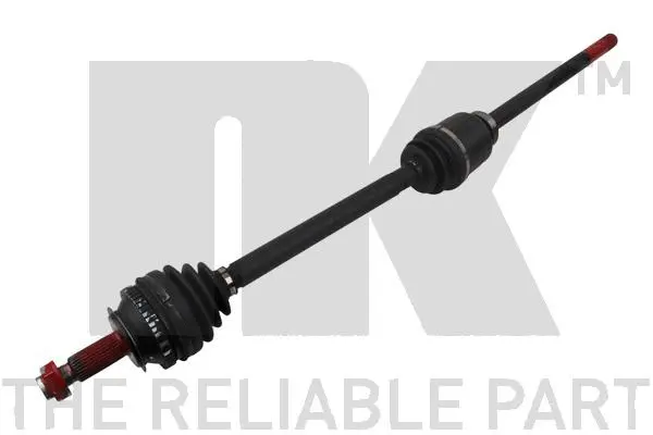 Drive Shaft (503953)