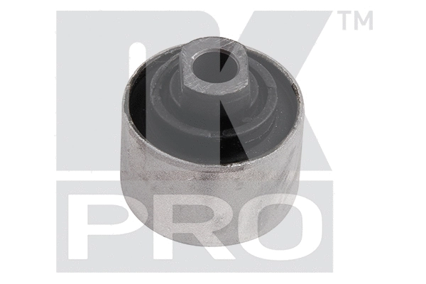 Mounting, control/trailing arm (5104715PRO)