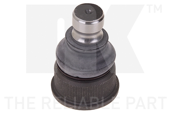Ball Joint (5043926)