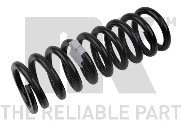 Suspension Spring (543354)