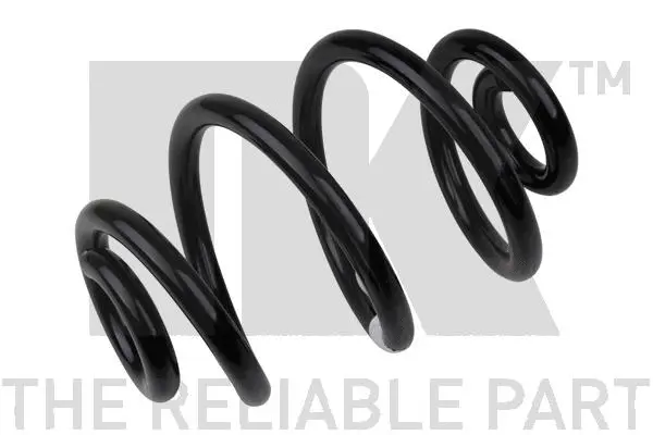 Suspension Spring (541525)