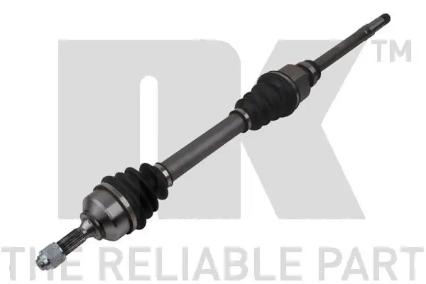 Drive Shaft (503770)