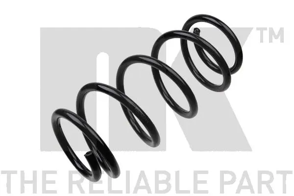 Suspension Spring (533667)