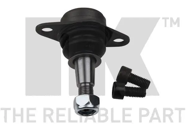 Ball Joint (5041519)