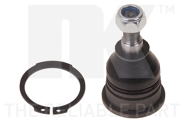 Ball Joint (5043009)