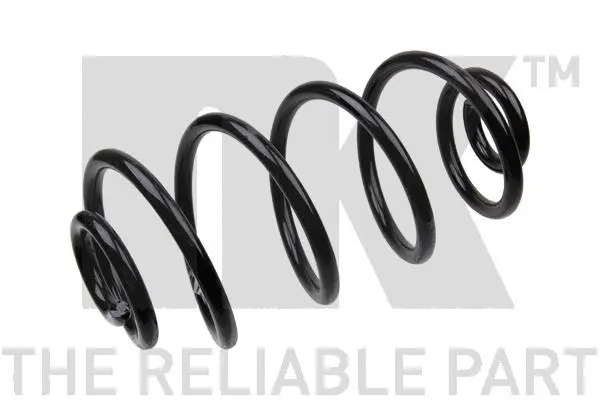 Suspension Spring (543676)