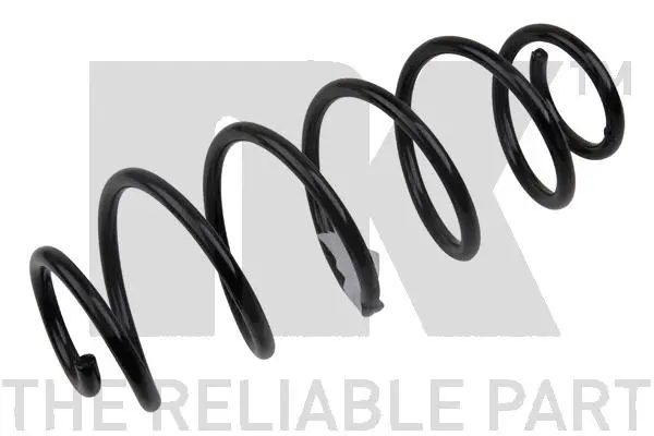 Suspension Spring (541916)
