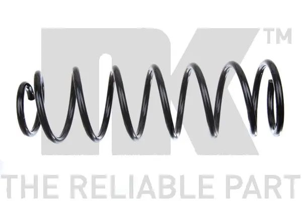 Suspension Spring (542562)