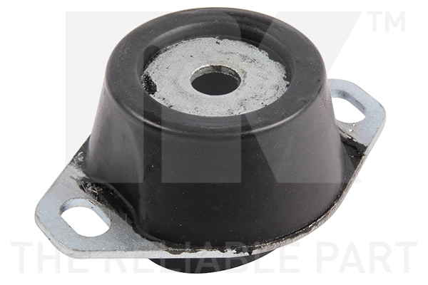 Mounting, engine (59719031)