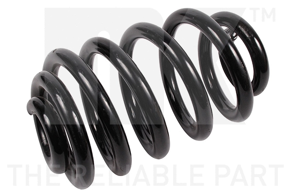 Suspension Spring (541553)