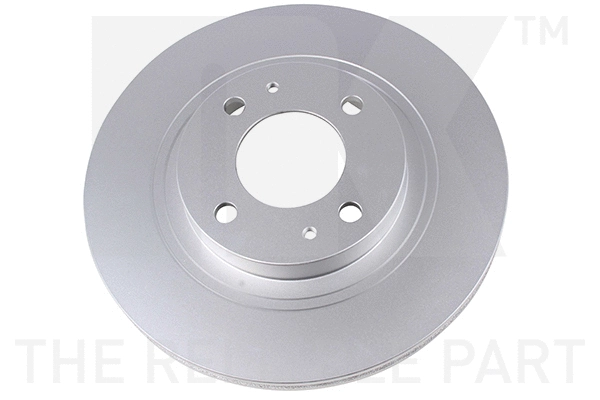 Brake Disc (319952)