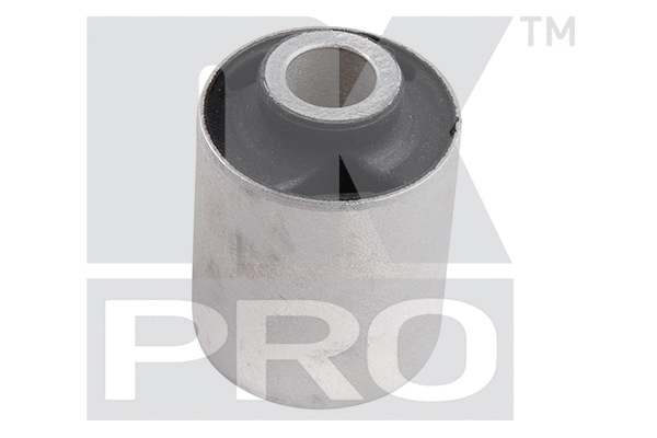 Mounting, control/trailing arm (5103316PRO)