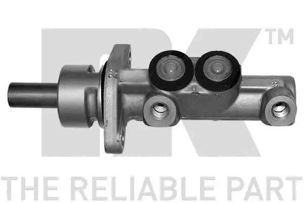 Brake Master Cylinder (823919)