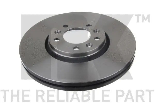 Brake Disc (203734)