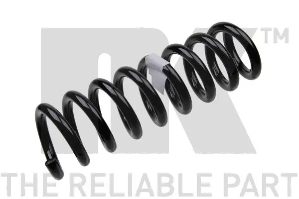 Suspension Spring (543358)