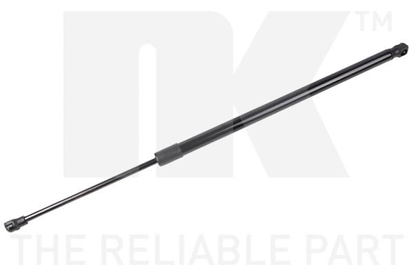 Gas Spring, boot/cargo area (11022010)
