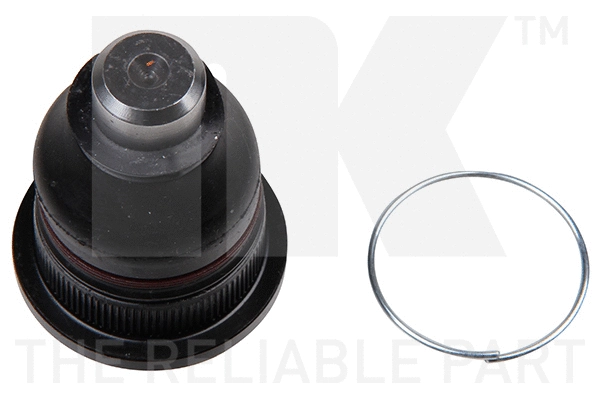 Ball Joint (5043944)