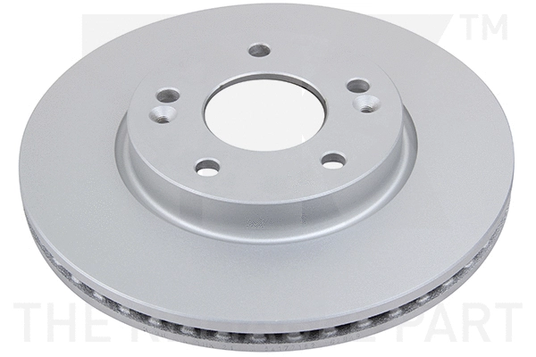 Brake Disc (313538)