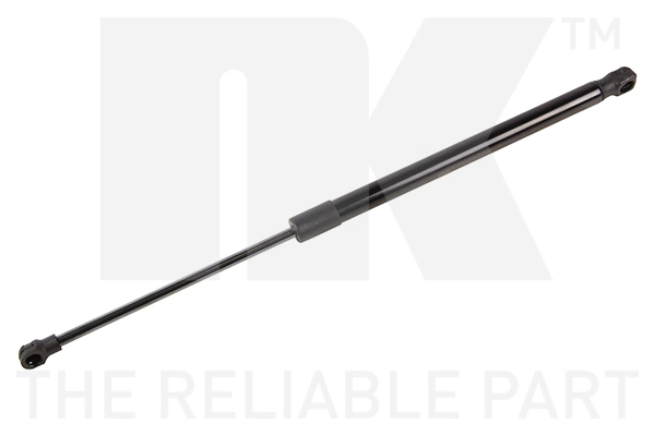Gas Spring, boot/cargo area (11022009)