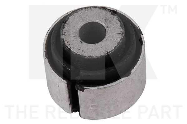 Mounting, control/trailing arm (5101553)
