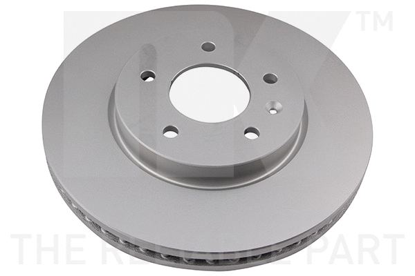 Brake Disc (313666)