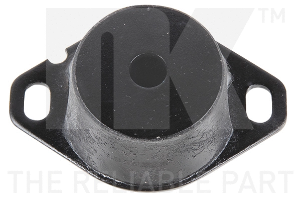 Mounting, engine (59719036)