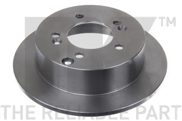 Brake Disc (203424)