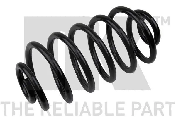 Suspension Spring (543661)