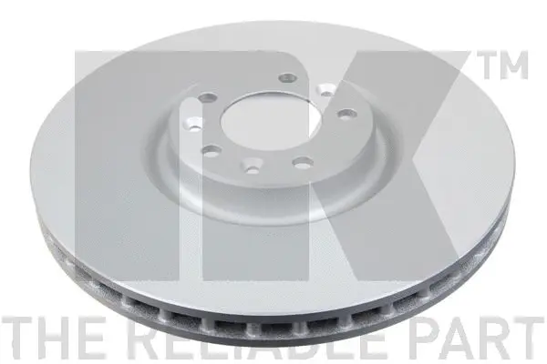 Brake Disc (313745)