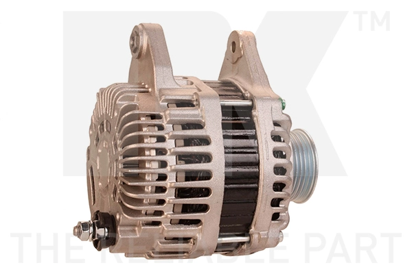 Alternator (4822010)