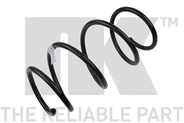 Suspension Spring (531550)