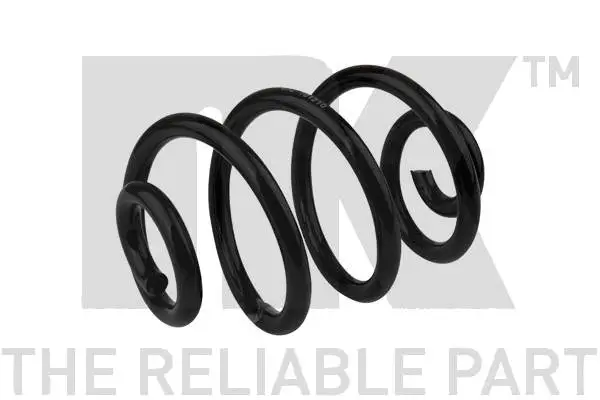 Suspension Spring (541506)
