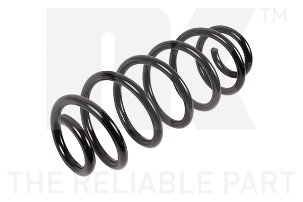Suspension Spring (541922)