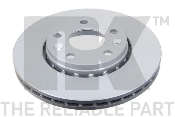 Brake Disc (313970)
