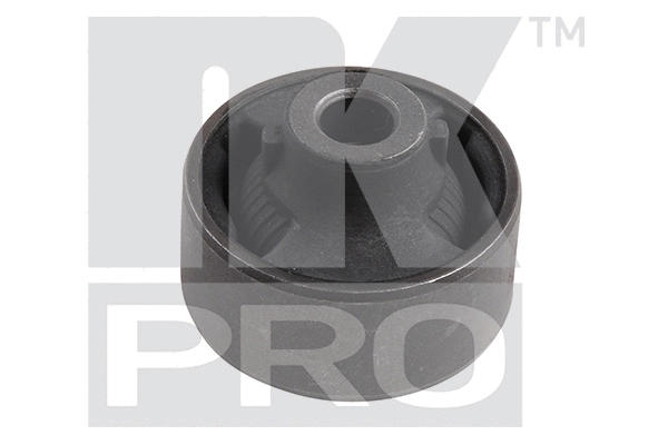 Mounting, control/trailing arm (5102223PRO)