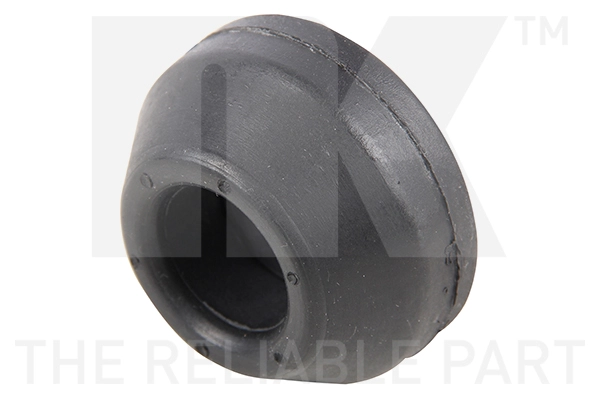 Mounting, control/trailing arm