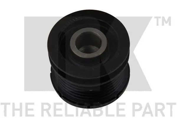 Alternator Freewheel Clutch (4910073)