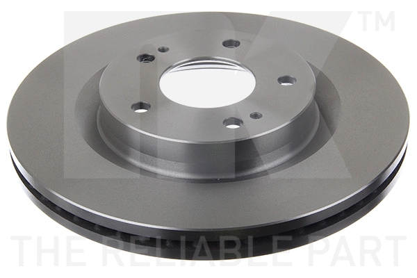 Brake Disc (203046)