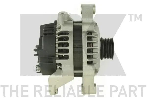 Alternator (4838600)