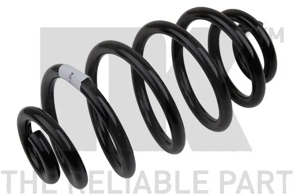 Suspension Spring (543666)