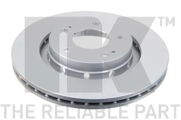 Brake Disc (313043)