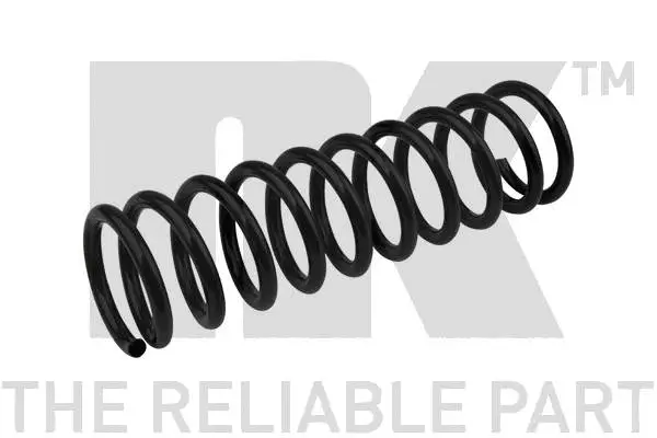Suspension Spring (541508)