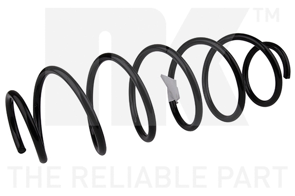 Suspension Spring (531979)