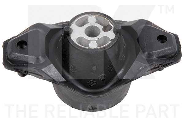 Mounting, engine (59719038)