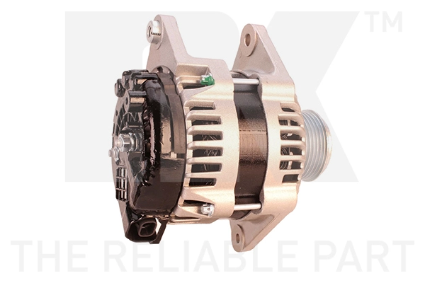 Alternator (4836020)