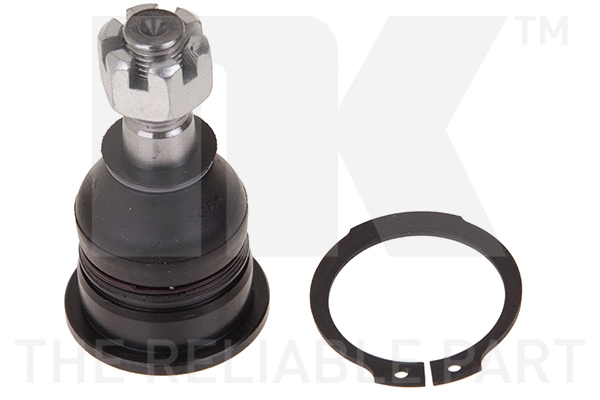 Ball Joint (5042228)